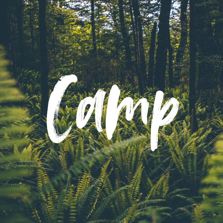 Algebra Camp, Enlighten